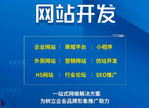 百色网站建设服务